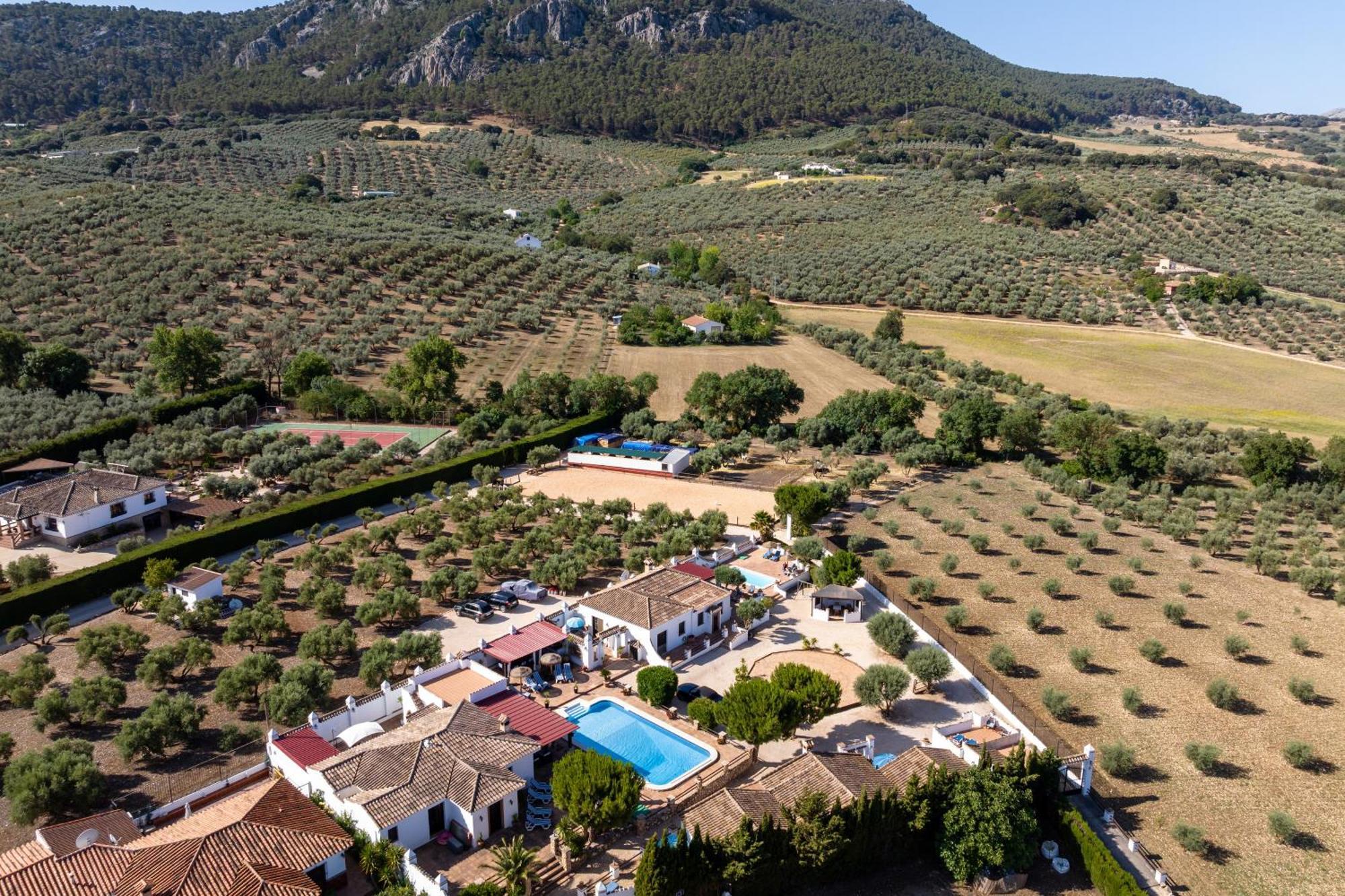 Pasa Fina, Luxury Holiday Retreat Villanueva del Trabuco Exterior photo